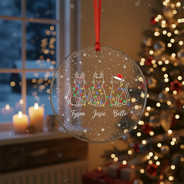 Personalized Cat Family Acrylic Ornament, Custom Pet Christmas Ornament, Funny Cat Ornament, Cat Lover Gift, Clear Keepsake Decoration|ONM98