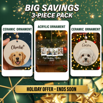 Personalized Pet & Family Ornaments Set of 3, Custom Ceramic and Acrylic Christmas Ornament, Unique Gift for Pet Lovers 2025|ONMCB16